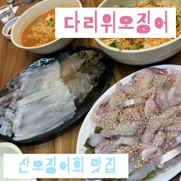 다리위오징어 사진 1