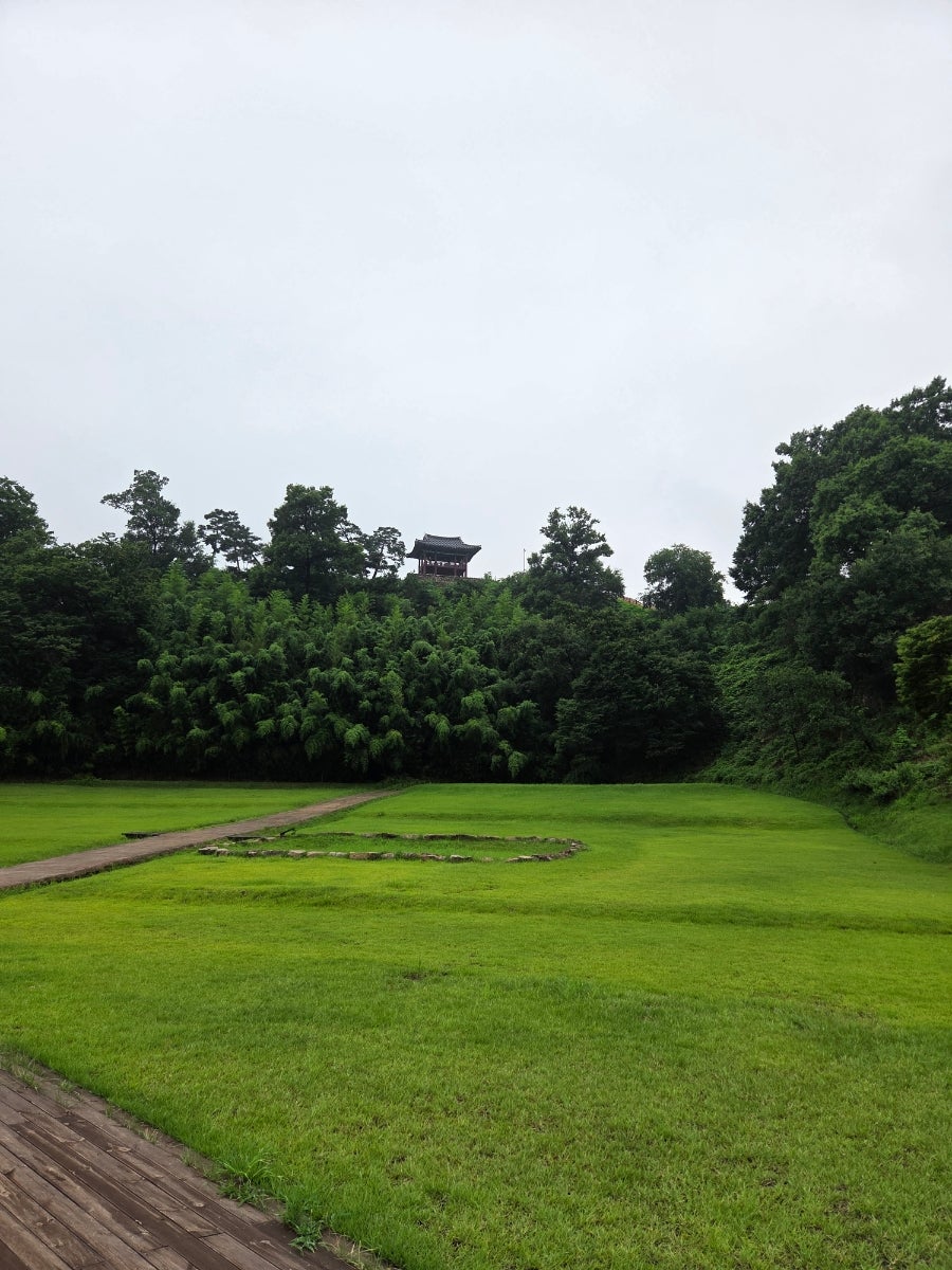 라루체 사진 3