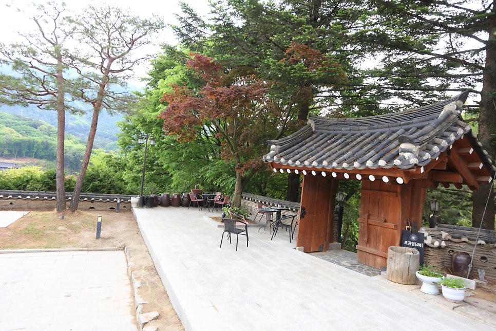 민들레 사진 3