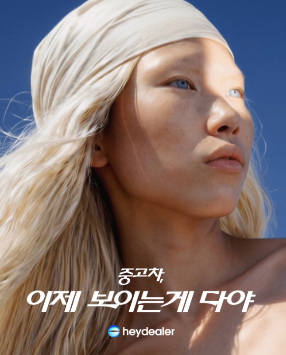 헤이딜러 중고차 구매 후기 쏘나타 하이브리드 내돈내산 느낀점