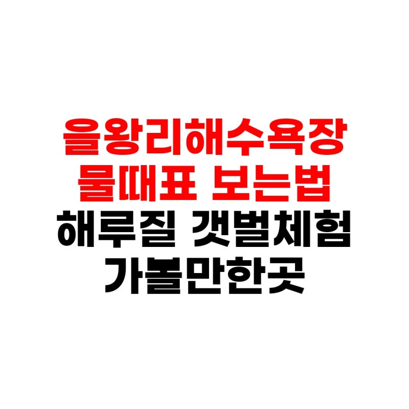 인천 을왕리해수욕장 물때표 시간표 보는법 해루질 갯벌체험