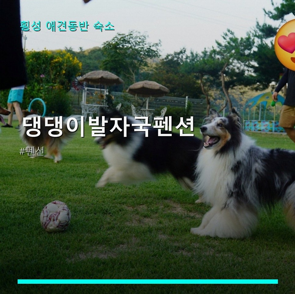 댕댕이발자국펜션 사진 1