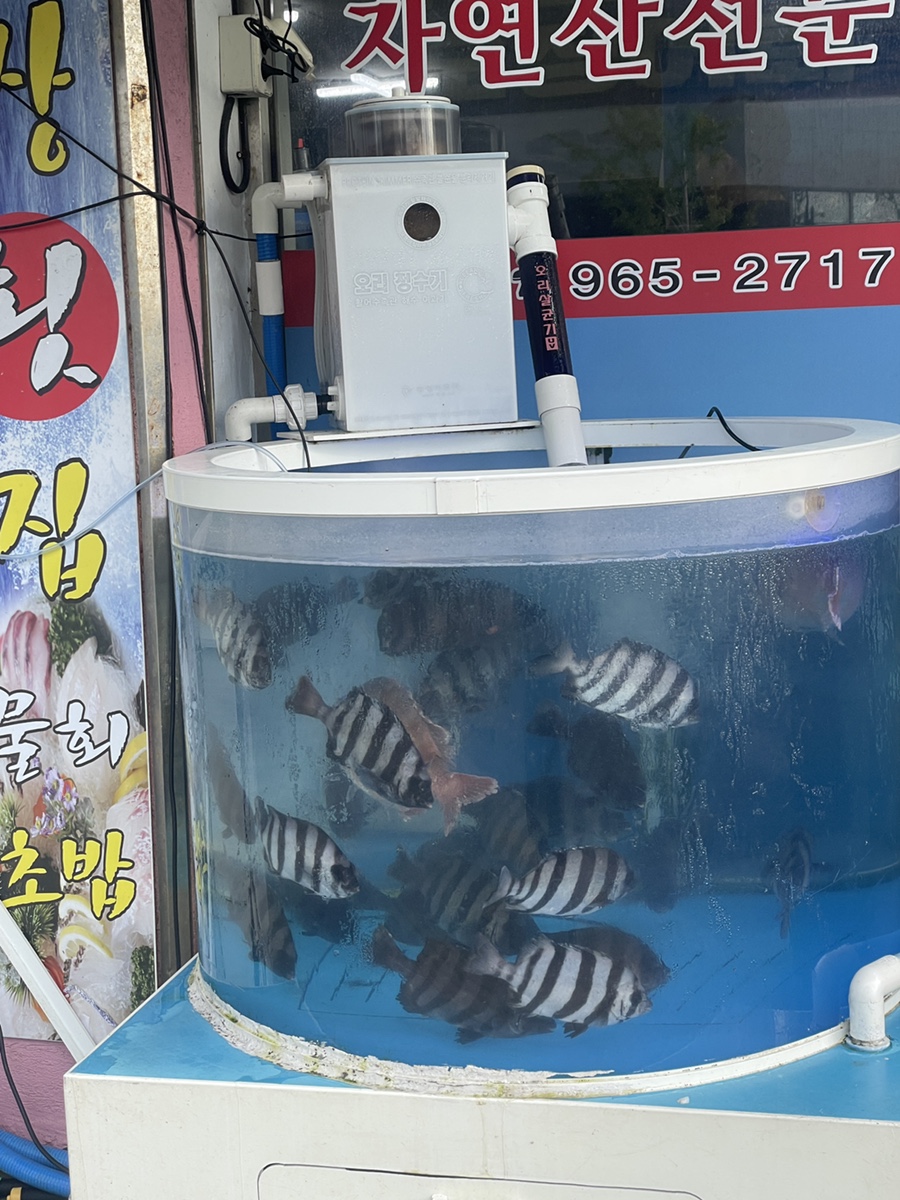 김선장횟집 사진 3