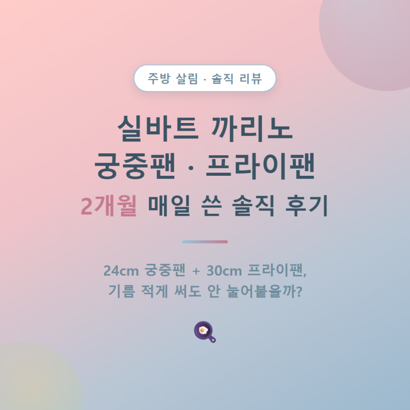 프라이팬 어디꺼 사지? 실바트 궁중팬, 팬 2개월 솔직 후기