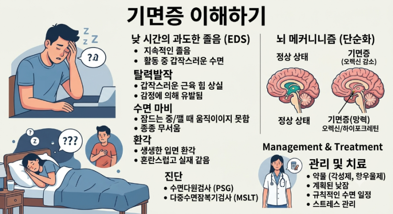 기면증 바로 알기