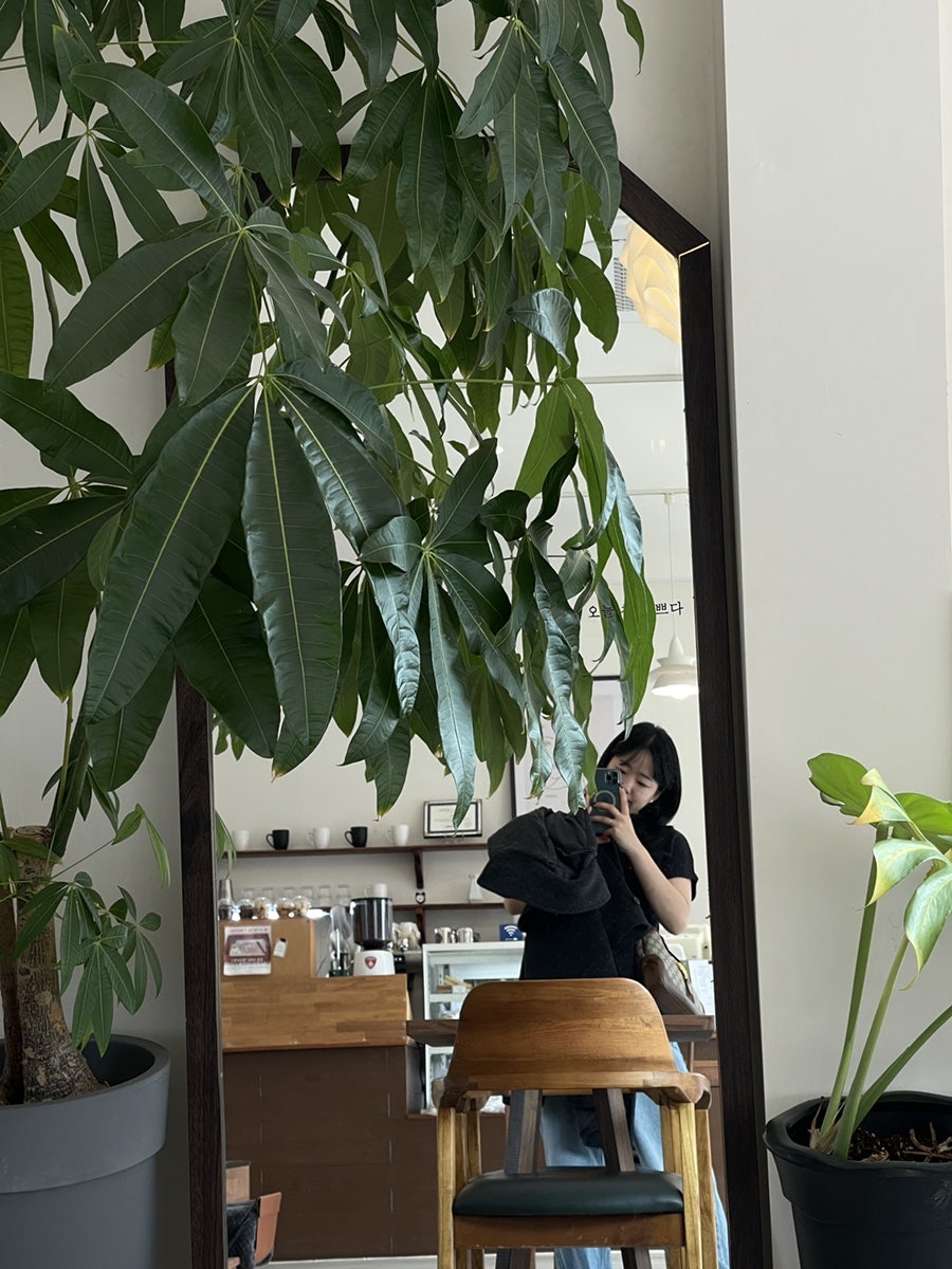 카페사계 사진 6