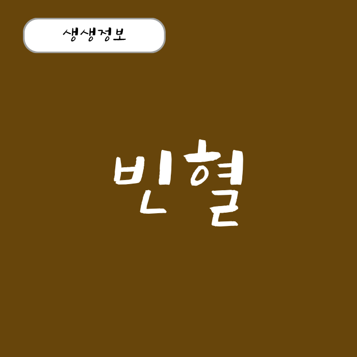 빈혈 원인과 증상 정상 수치 빈혈 철분제 효과