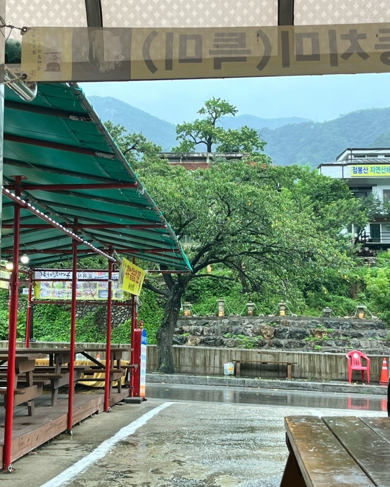 곰취식당 사진 6