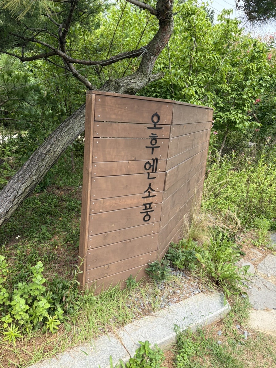 오후엔소풍 사진 2