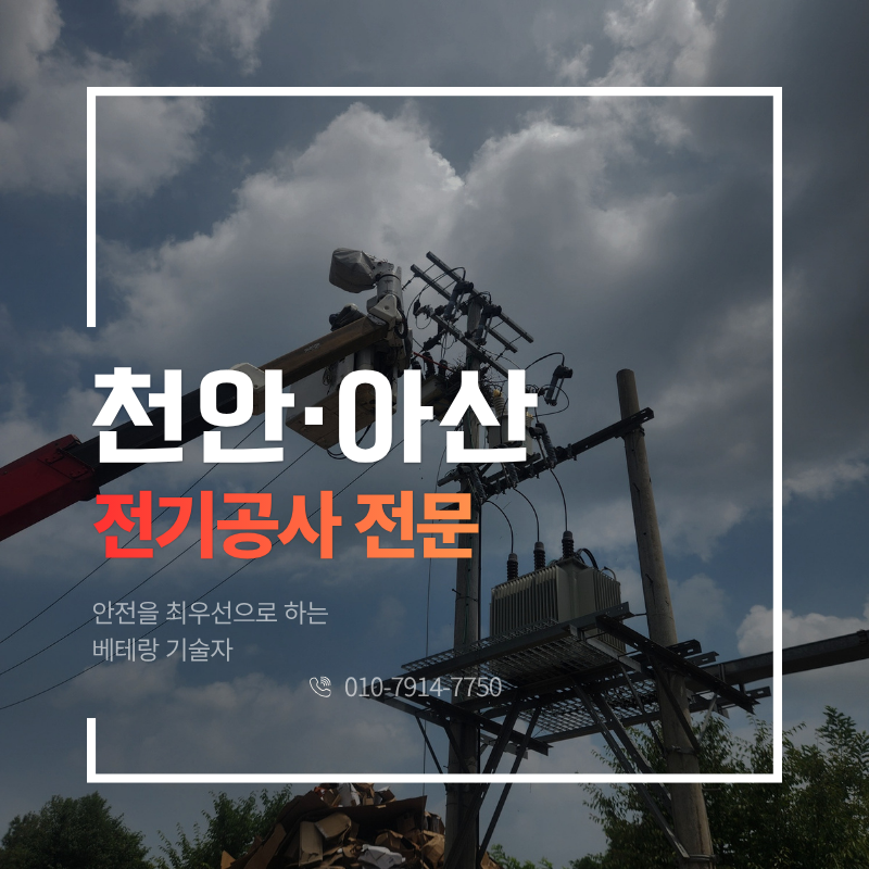 둥지 사진 1