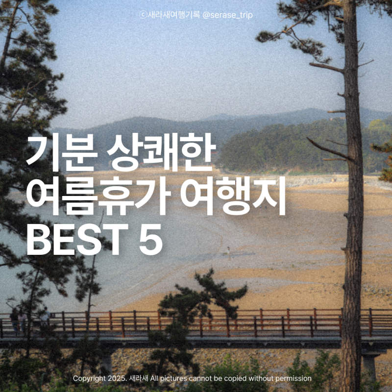 충남 태안 '꽃·바다·숲' 여름휴가 여행코스 BEST 5곳