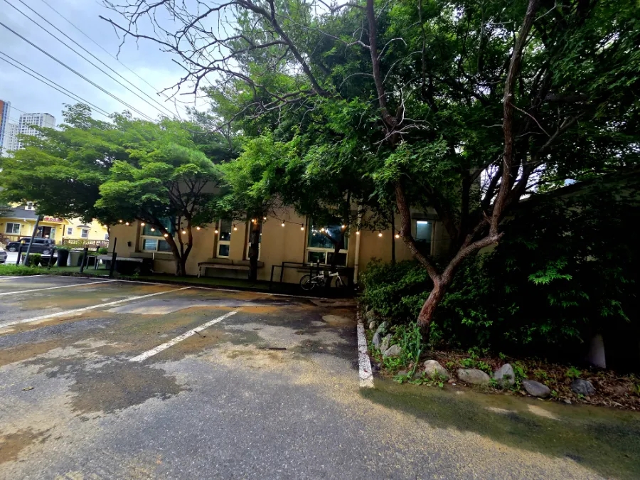 청미래 사진 6