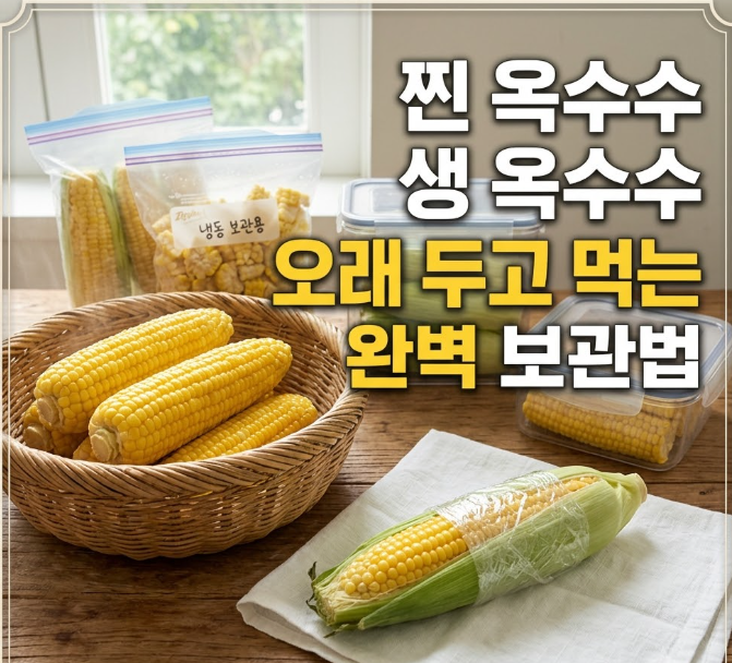 찐 옥수수 생 옥수수 오래 두고 먹는 완벽 보관법