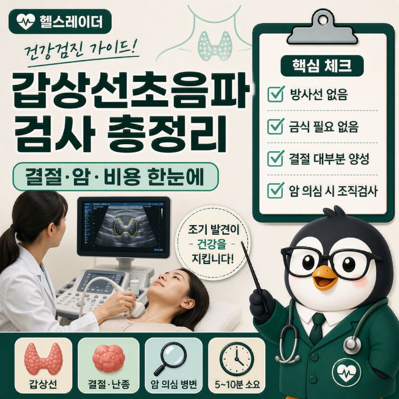 갑상선초음파 검사 총정리 (결절·암·비용·추가해야 할까?)
