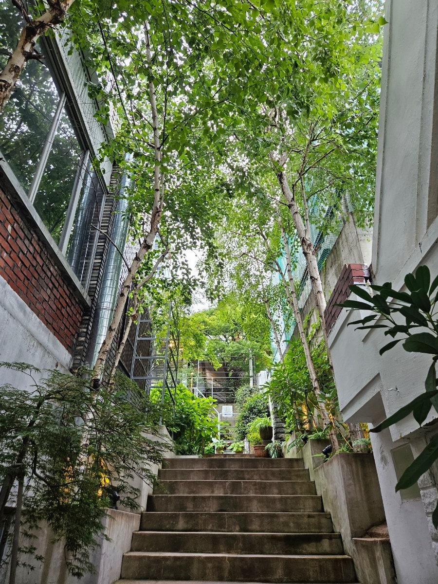 성당못 빌 사진 4