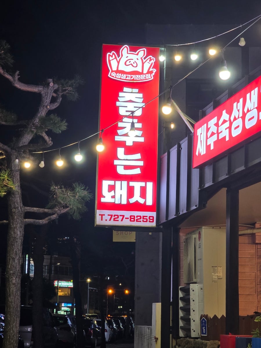 춤추는돼지 사진 1