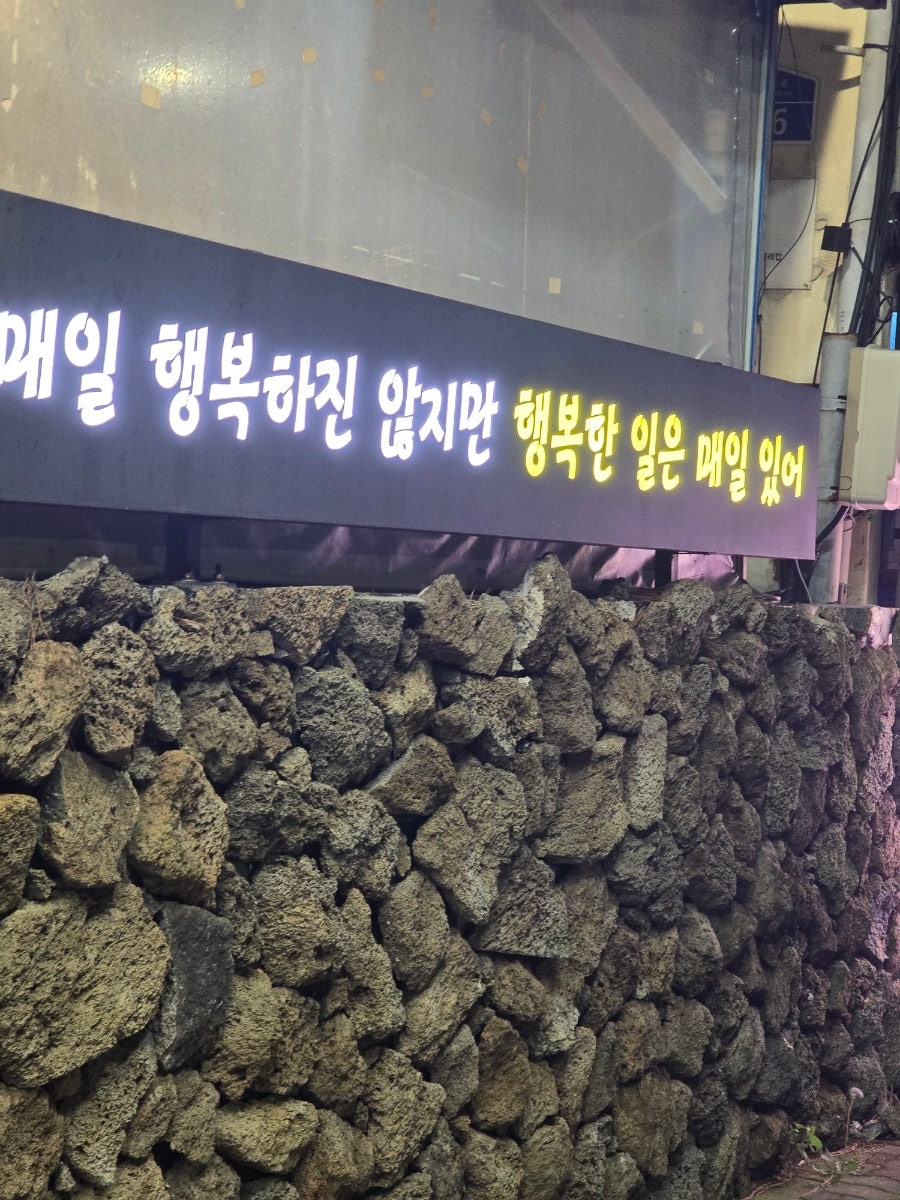 춤추는돼지 사진 3
