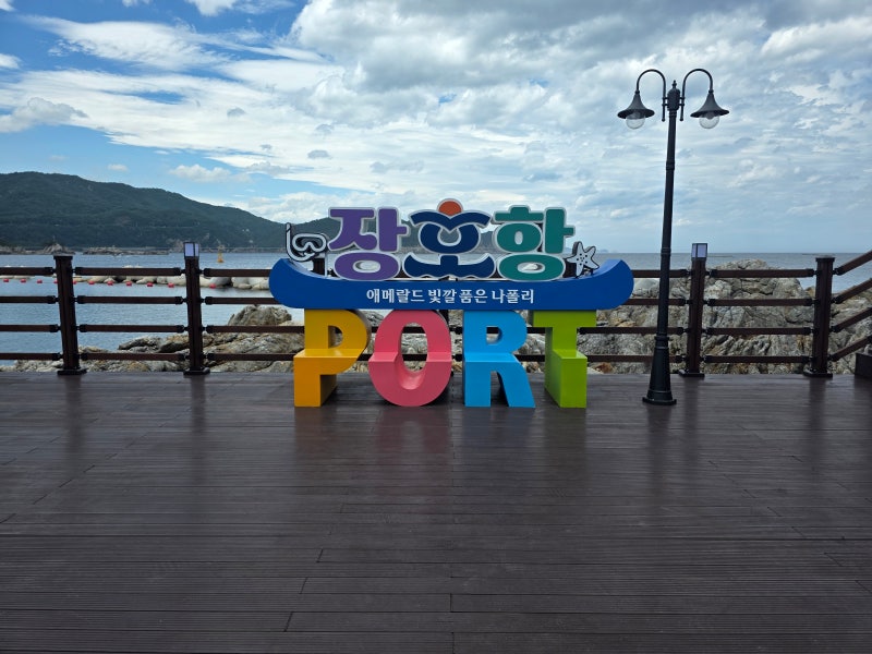 삼척 여름 여행 가볼만한곳 장호항 스노클링 투명카누 주차 현장요금 총정리