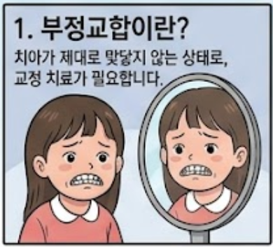 부정교합 치료방법 총정리 | 치료 시기부터 기간까지 한눈에 보기