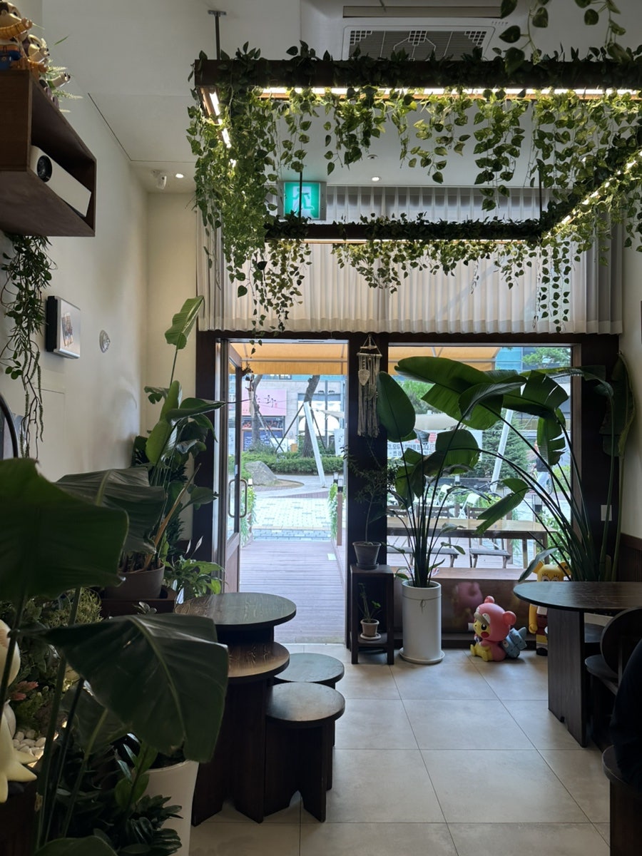 구십도씨 사진 4
