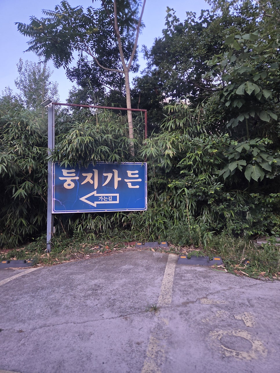 둥지가든 사진 1