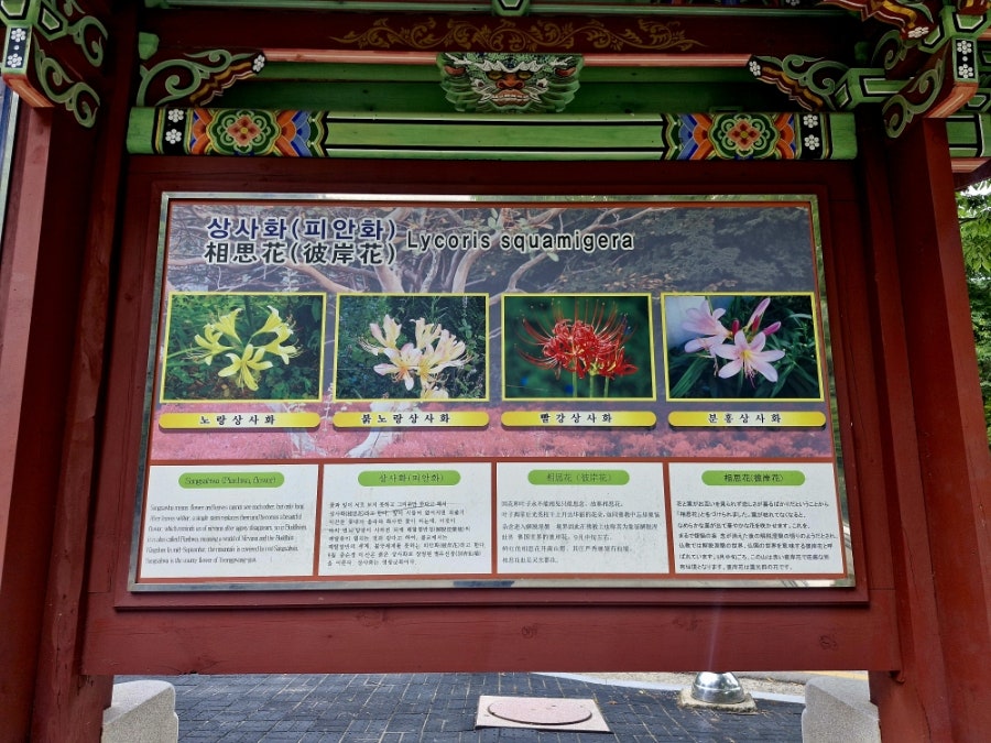 불갑산 사진 2