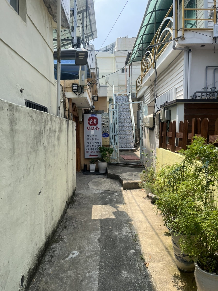 골목안뜨락 사진 2