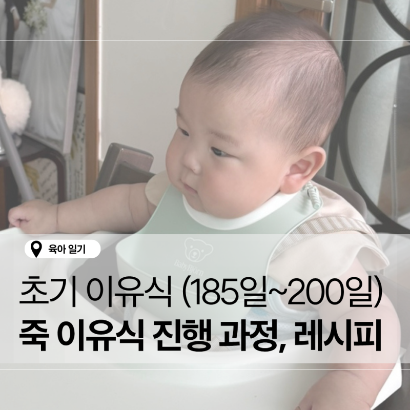 [초기 이유식] 6개월 아기 죽 이유식 진행 과정, 레시피 1(185일~200일)