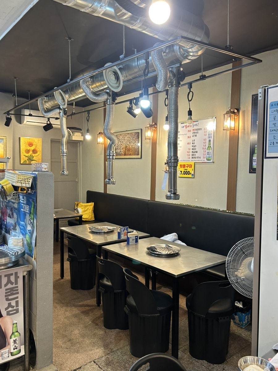 내껍데기돌리도 사진 5