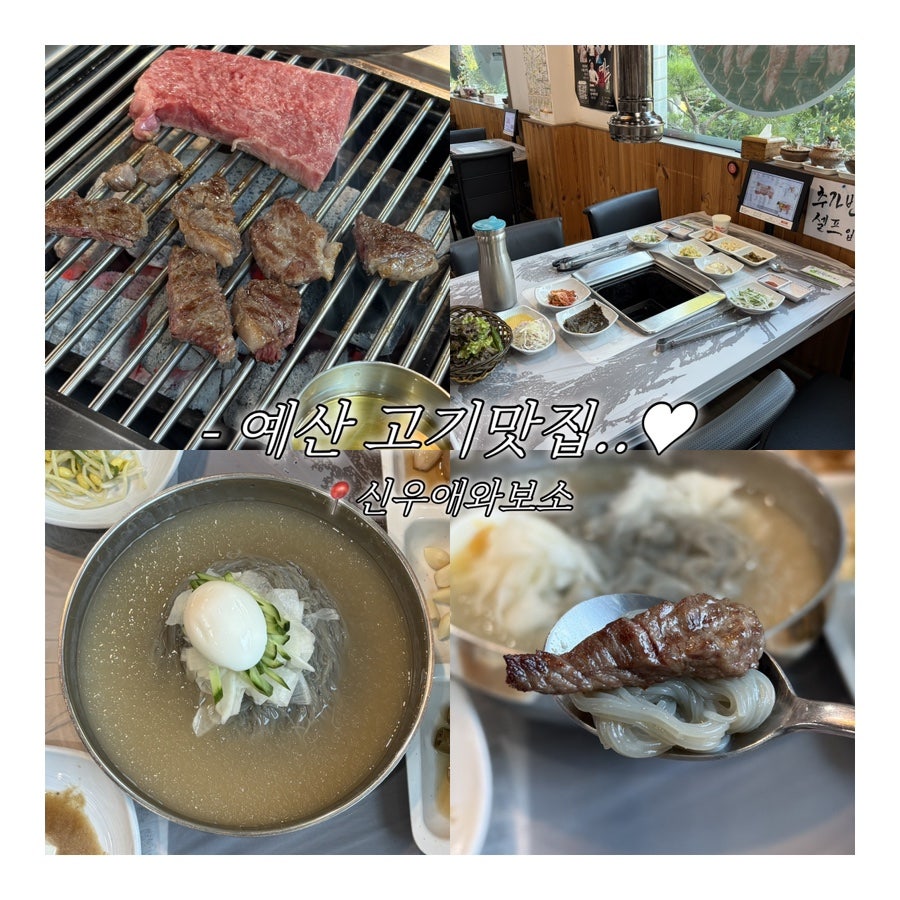 신우애와보소 사진 1
