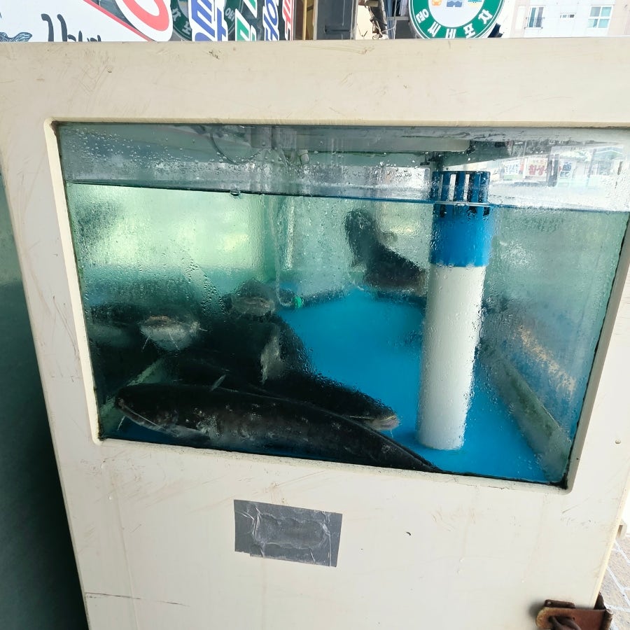 강변민물매운탕 사진 3