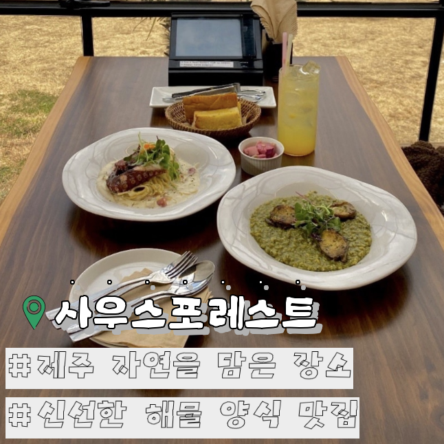 사우스포레스트 사진 1