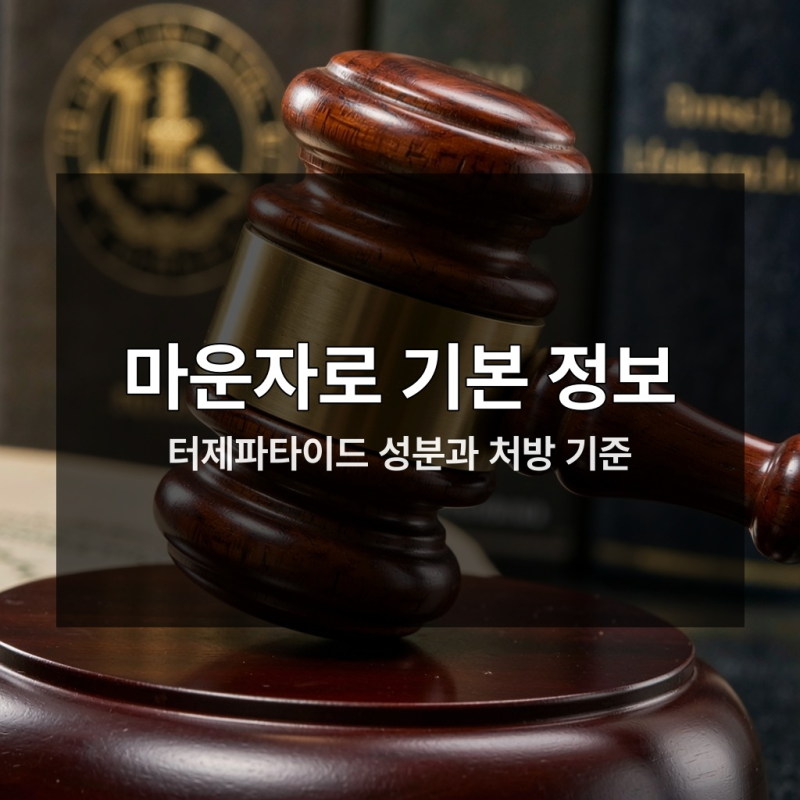 마운자로 부작용과 가격, 처방 전 꼭 알아야 할 5가지