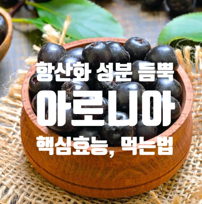 아로니아효능 부작용 올바른 먹는법 알아보기