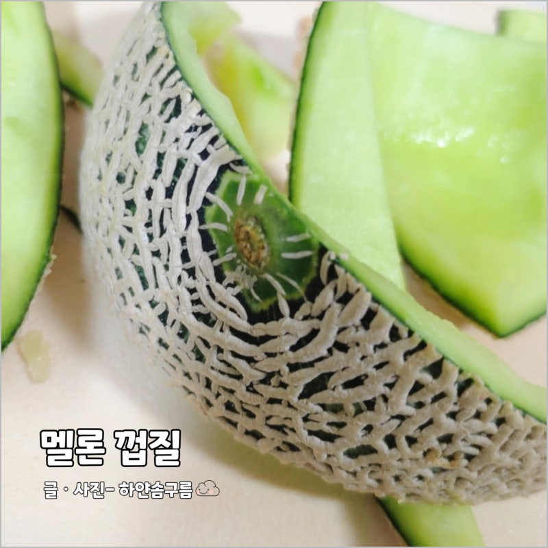 메론껍질 버리기 음식물 일반? 멜론 껍질 쓰레기 버리는 법