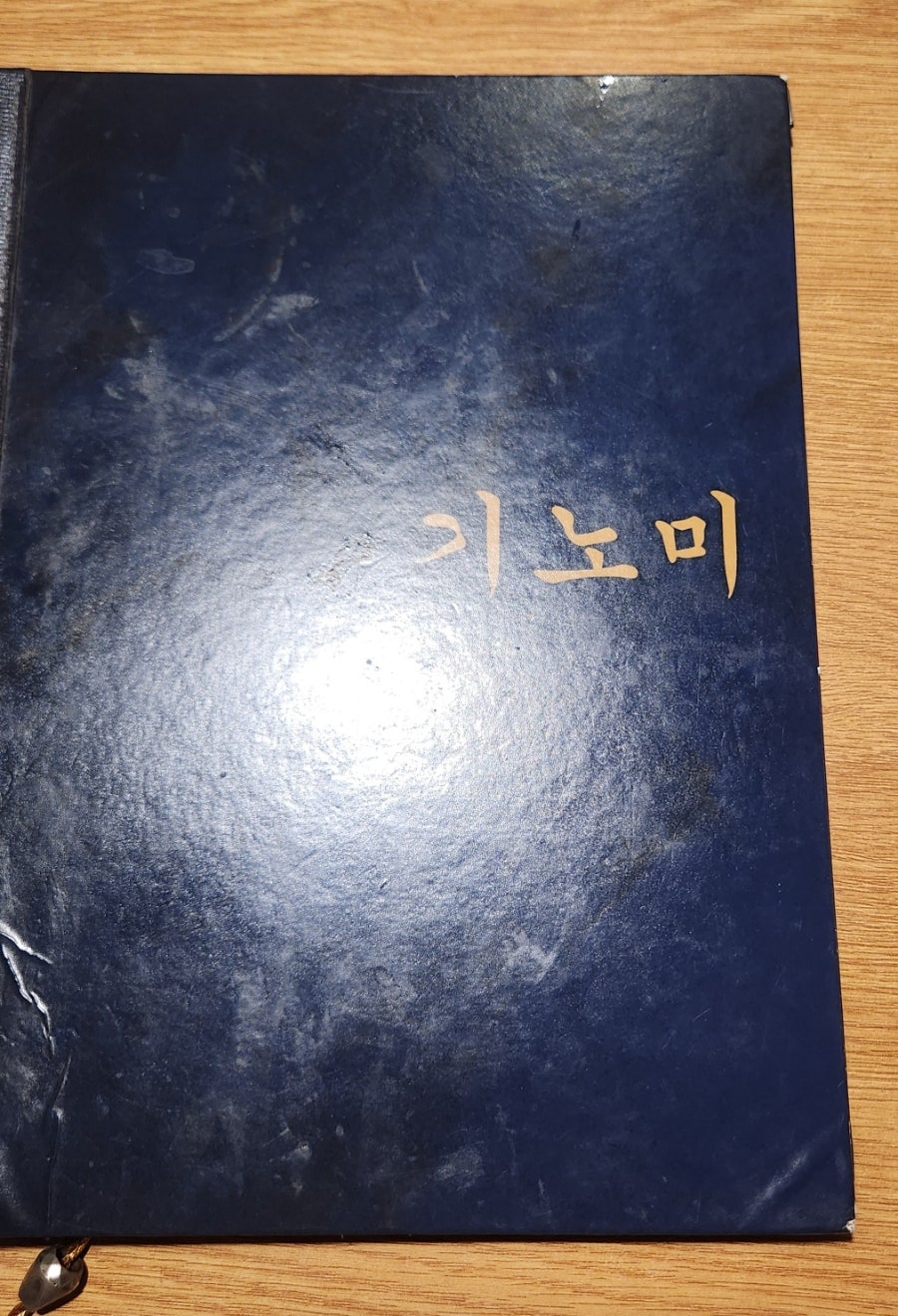 기노미 사진 2