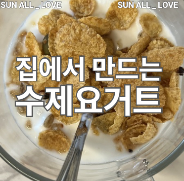 Bomann 보만요거트 메이커로 만드는 수제요거트