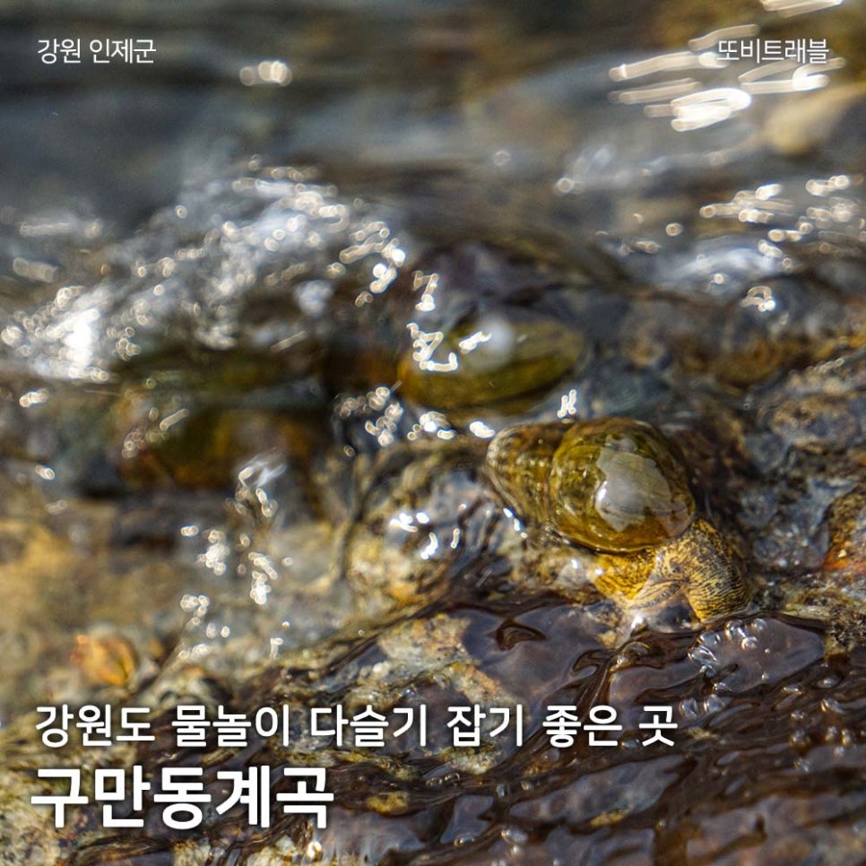 구만동계곡 사진 1