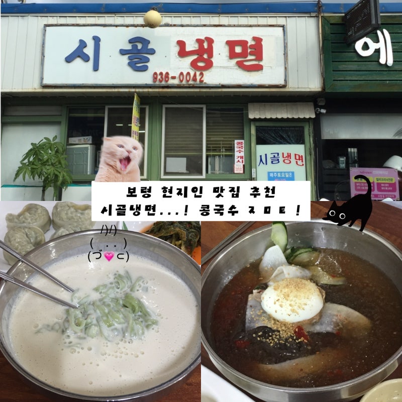 보령 현지인 맛집 추천 '시골냉면' 콩국수 냉면 맛도리...! 내돈내먹이에유