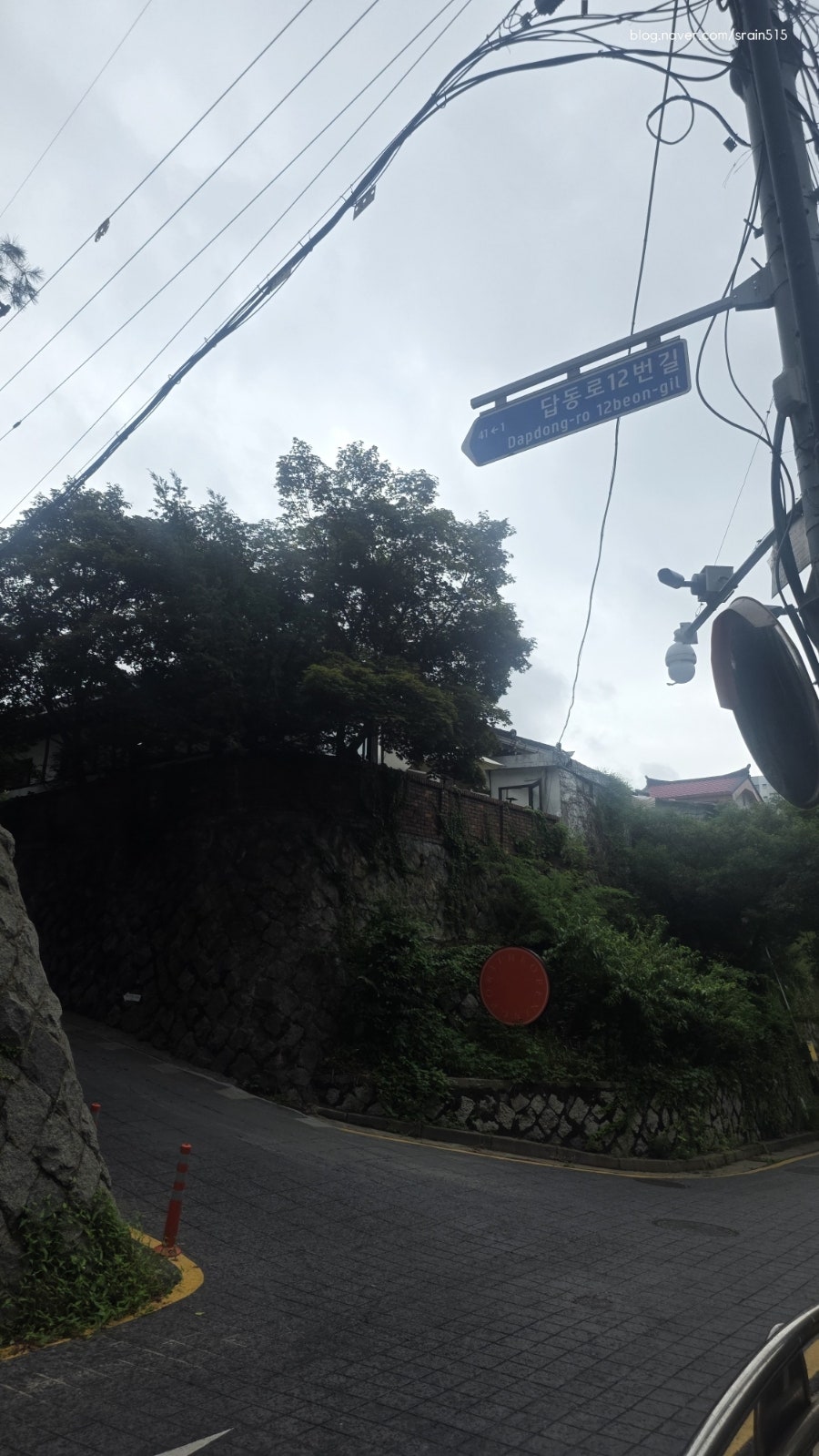 오프닝포트 사진 2