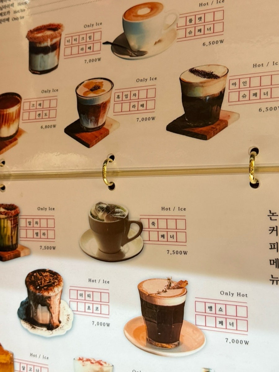 셀레브르 사진 2