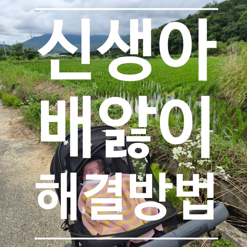 아기 배앓이 해결방법, 부모가 꼭 알아야 할 대처법과 직접 겪어본 변화