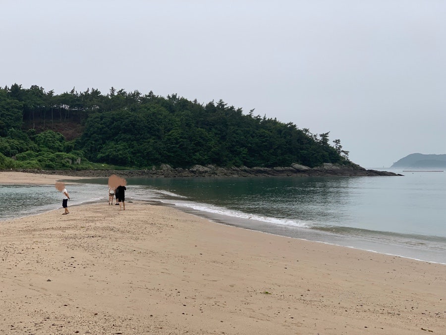 가든다담 사진 5