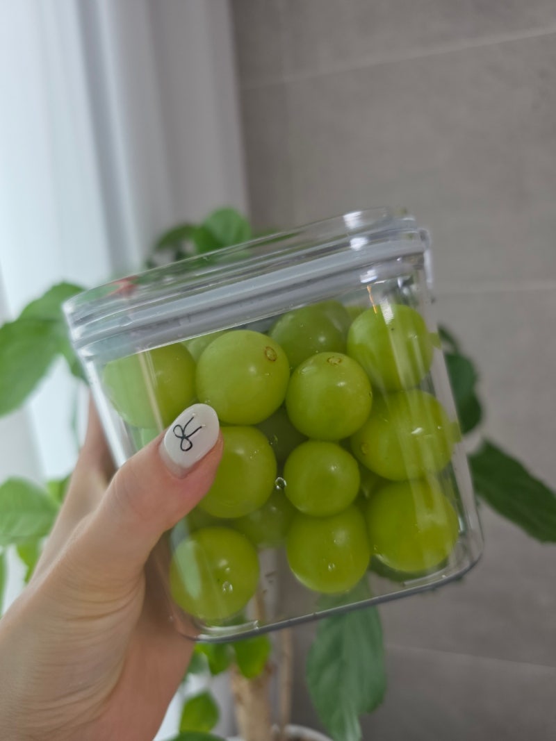 다이소 진공밀폐용기 추천 품절 전에 사야 할 주방템