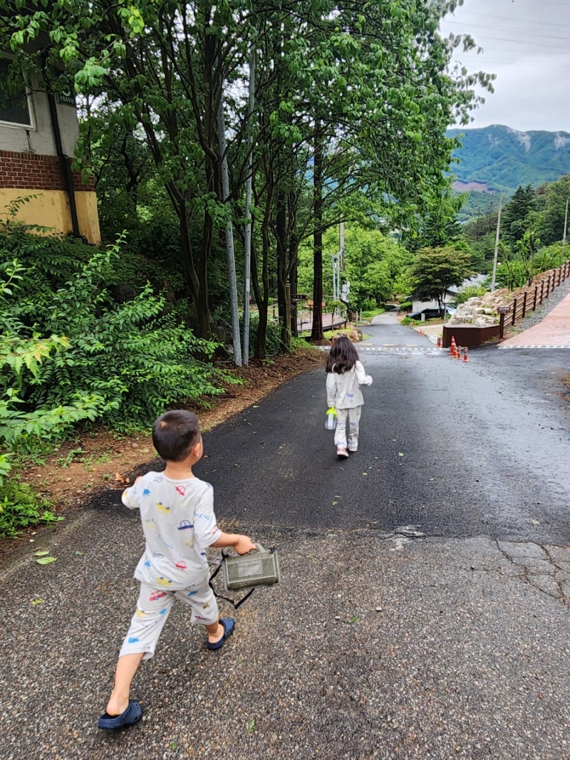 [국내]청평자연휴양림_1박2일