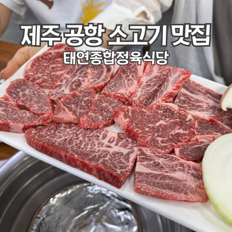 사장님! 배 터져 죽겠어요! 제주시 소고기 맛집 태연종합 정육식당