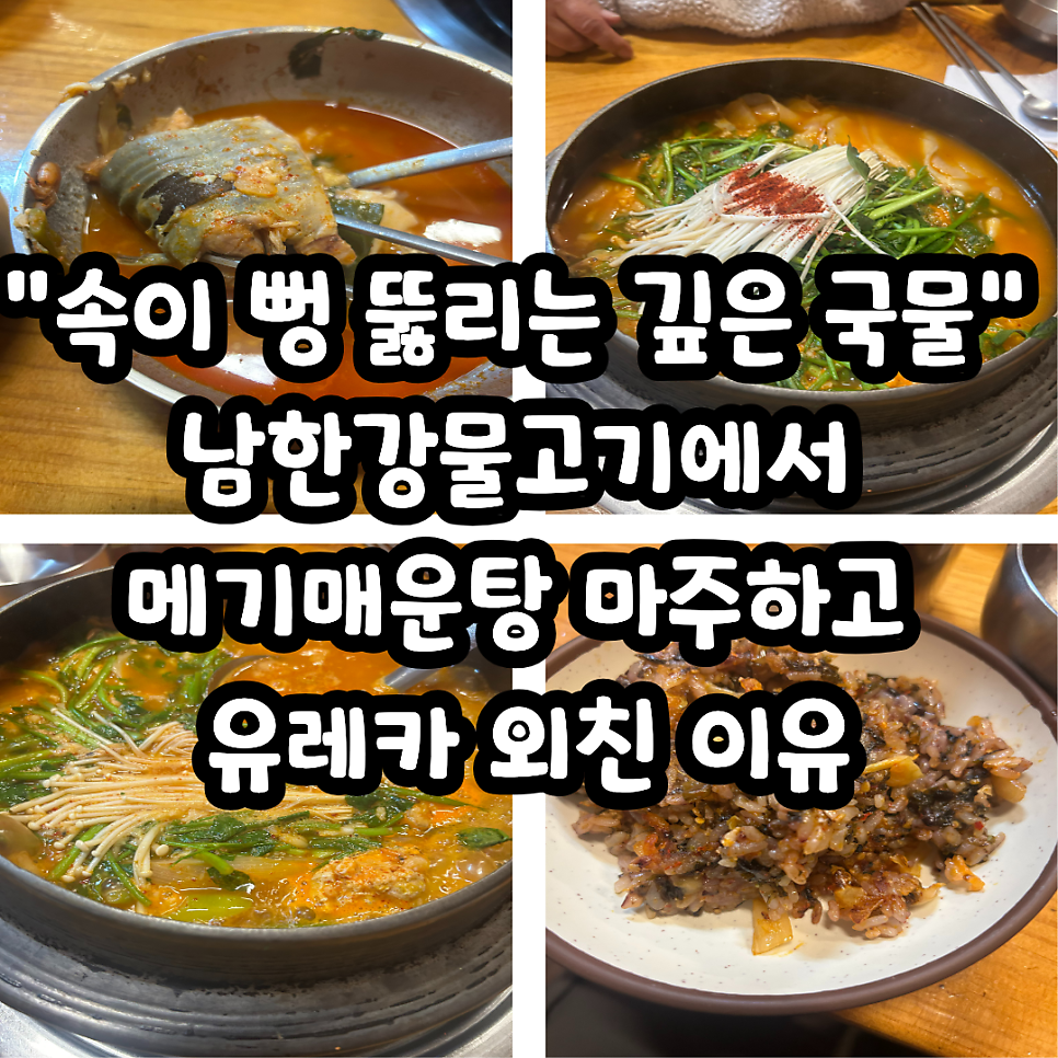 남한강물고기 사진 1