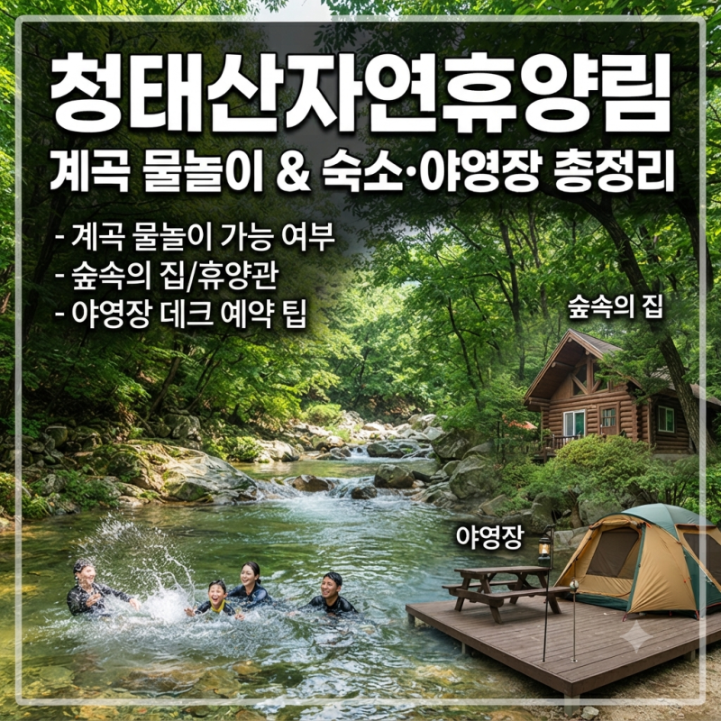 청태산자연휴양림 계곡, 물놀이 가능 여부와 숙소·야영장 총정리