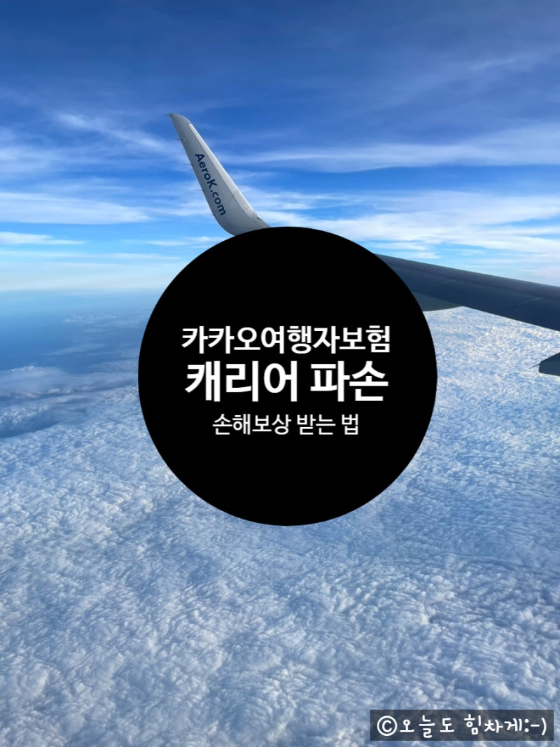 카카오여행자보험 캐리어 파손 손해 보상 받는 방법