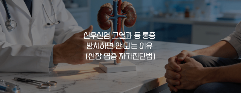 신우신염 고열과 등 통증 방치하면 안 되는 이유 (신장 염증 자가진단법)